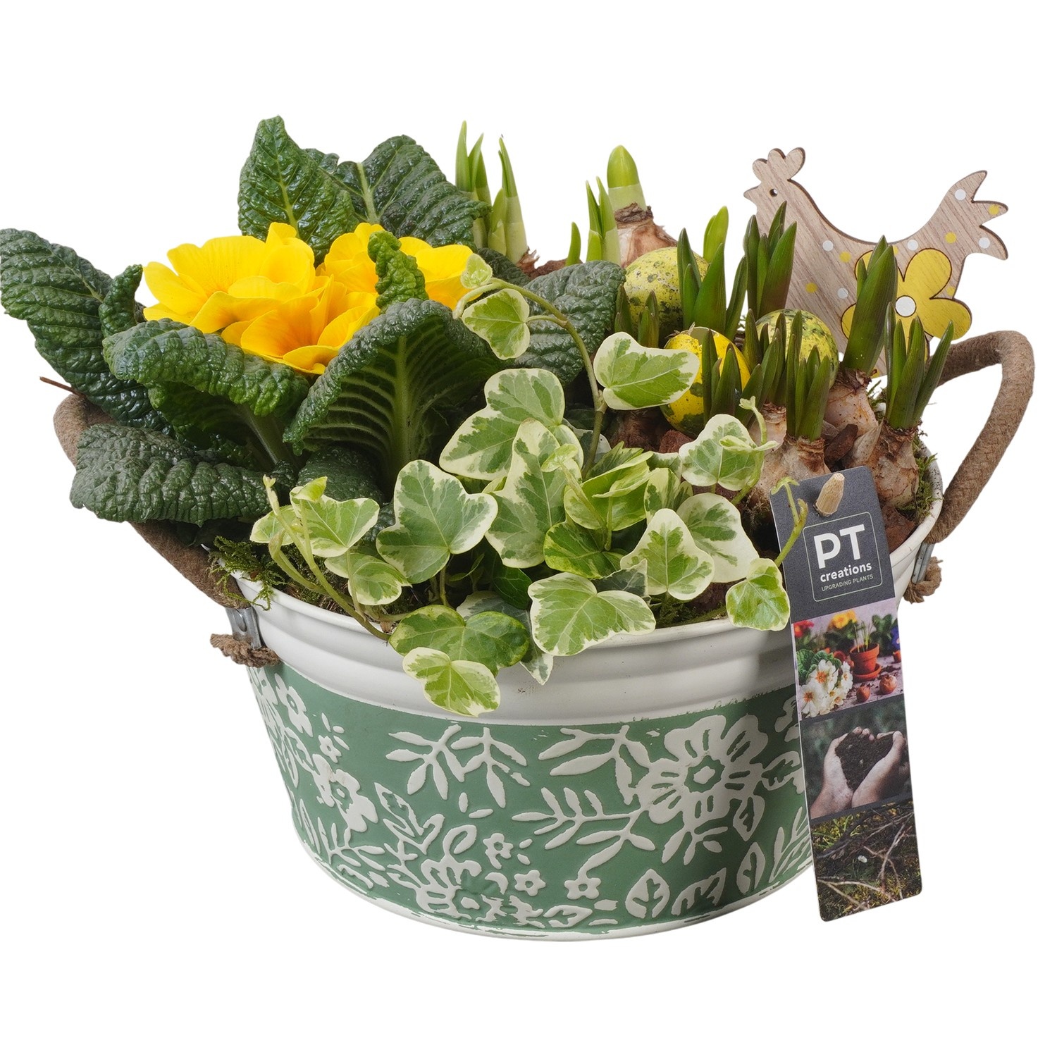 PTBMP5651 Arrangement Easter Bulbs Mix in zink pot, D 20