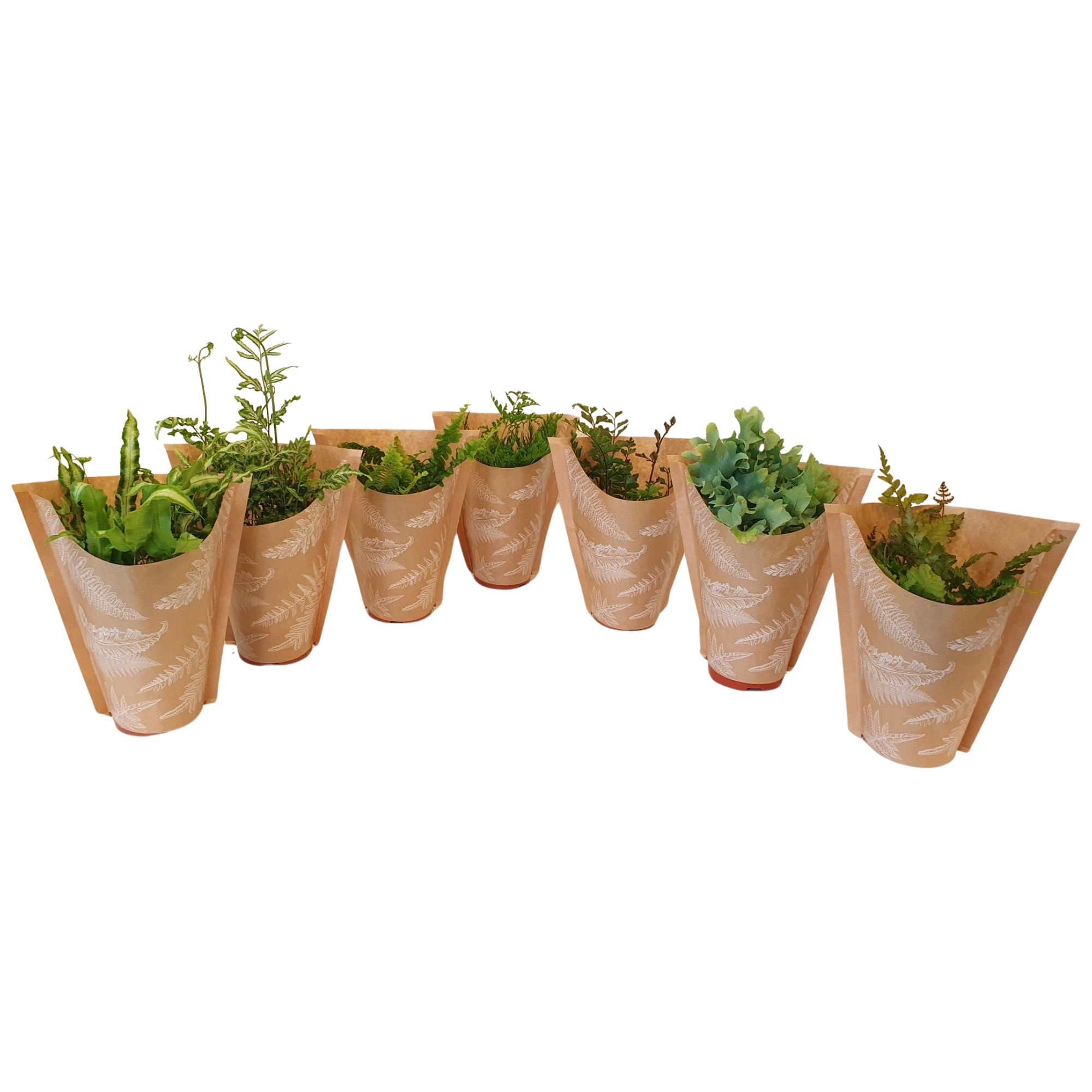 Varenmix - minimaal 4 soorten, D 9