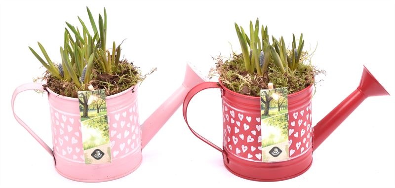 Zink gieter hart decor 24x10cm, D 24