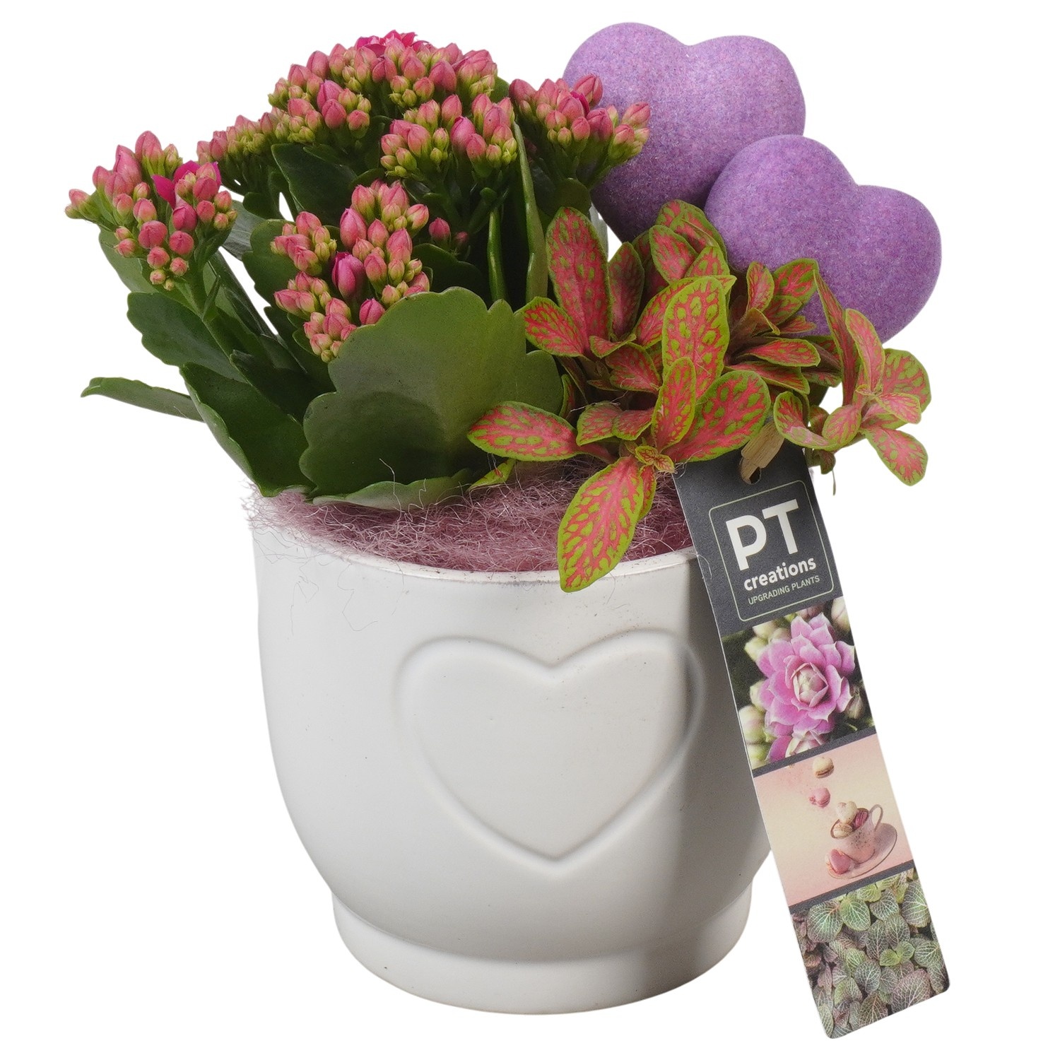 PTVMB2258 Arrangement Valentines-Mothersday in keramiek sierpot, D 11