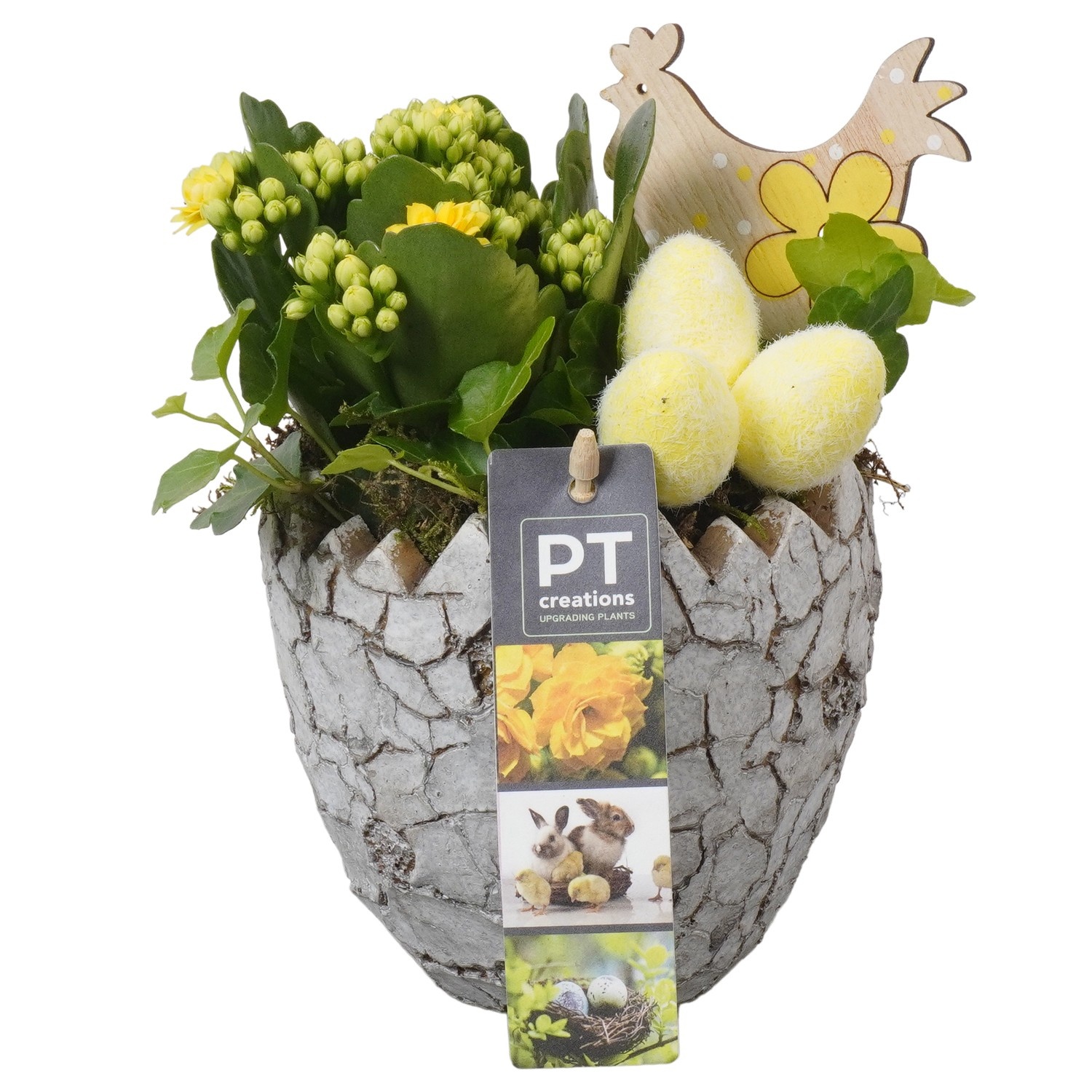 PTPB6605 Arrangement Easter in beton ei, D 12