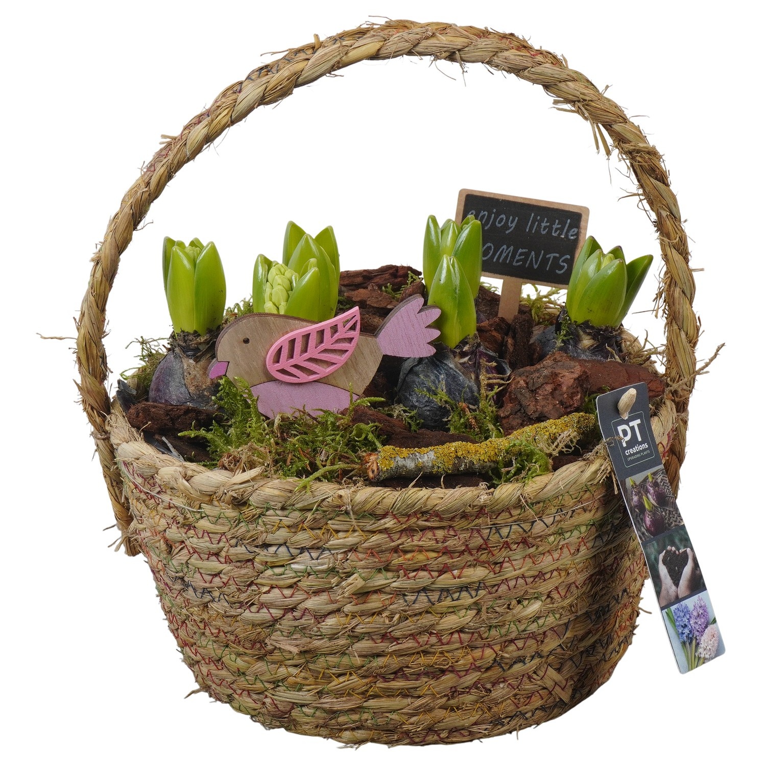 PTHC9154 Arrangement Hyacints in riet mand, D 22