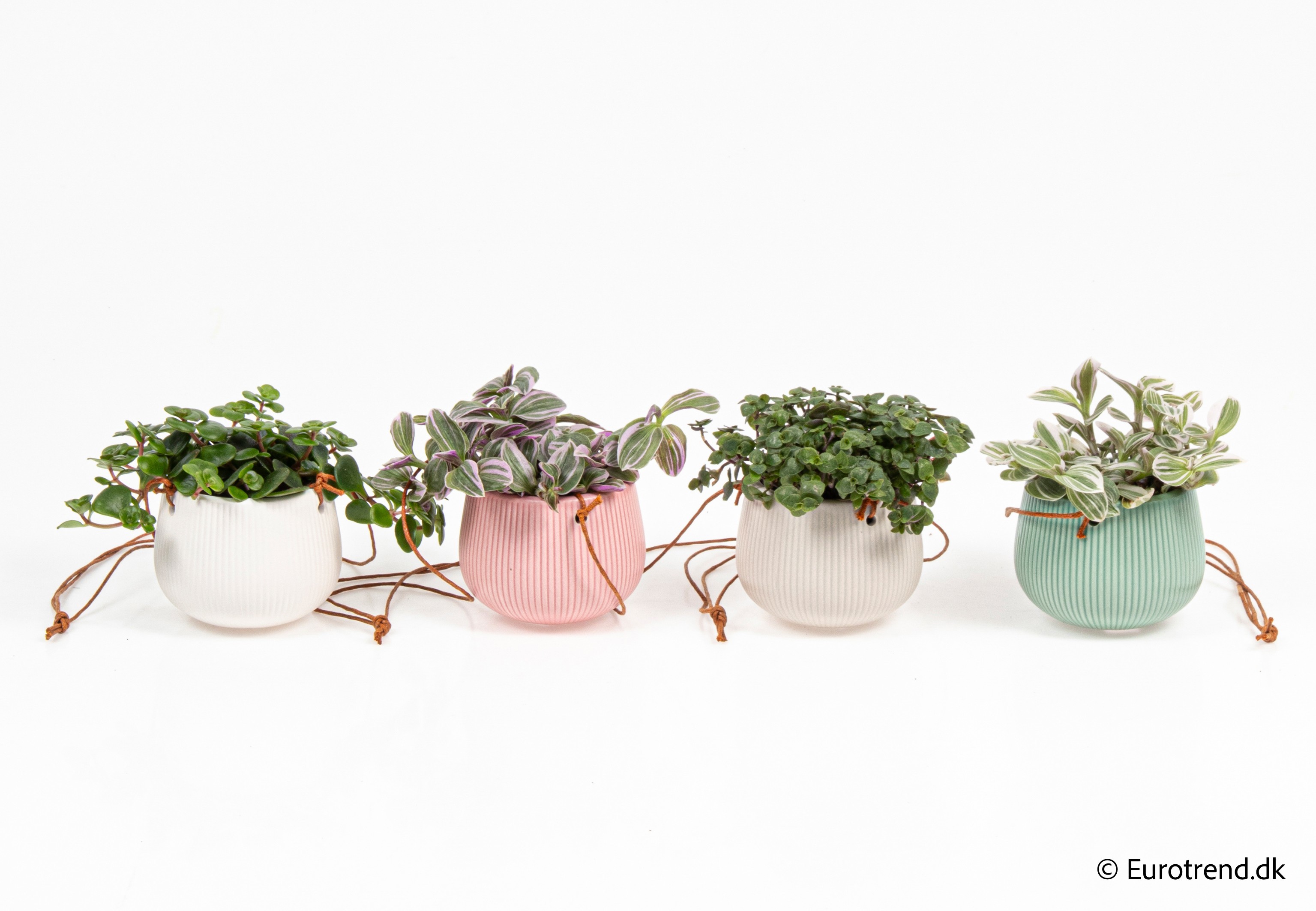 Green mix in New Look ceramic 2026, D 6