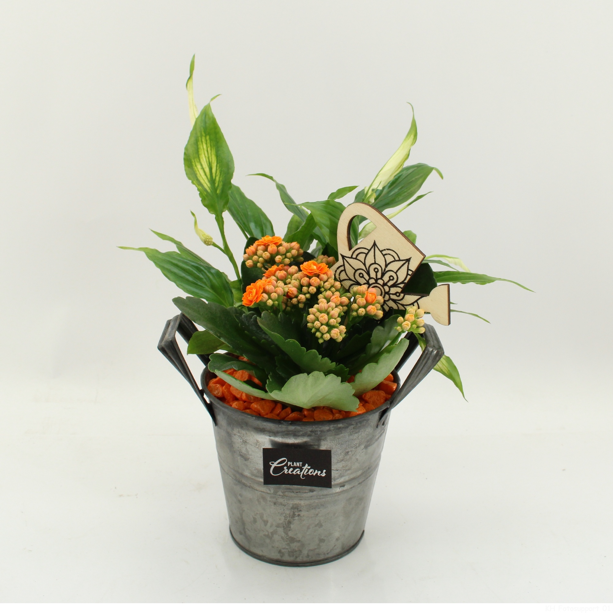 FDCR-2613OR Basic Fundamentals, D 14