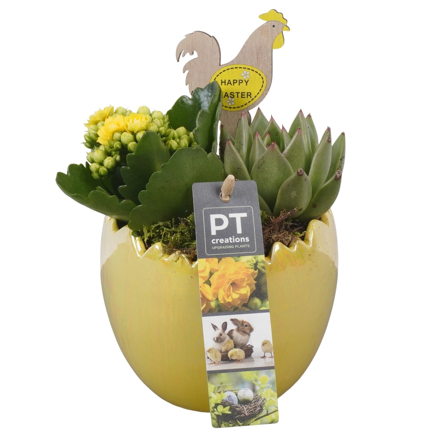 PTPB6479 Arrangement Easter in keramiek ei, D 11