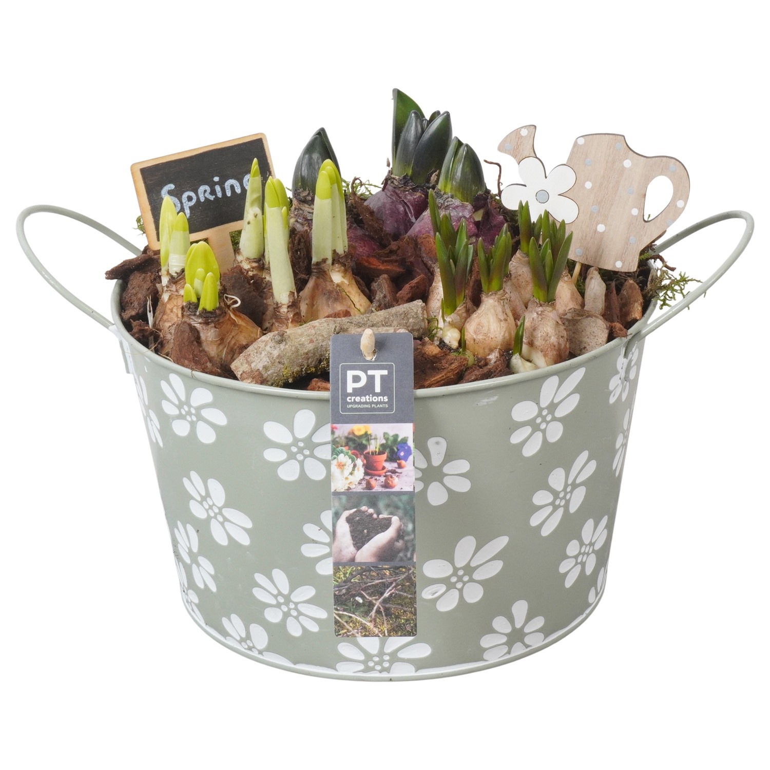 PTBM3763 Arrangement Flower Bulbs Mix in metalen pot, D 22
