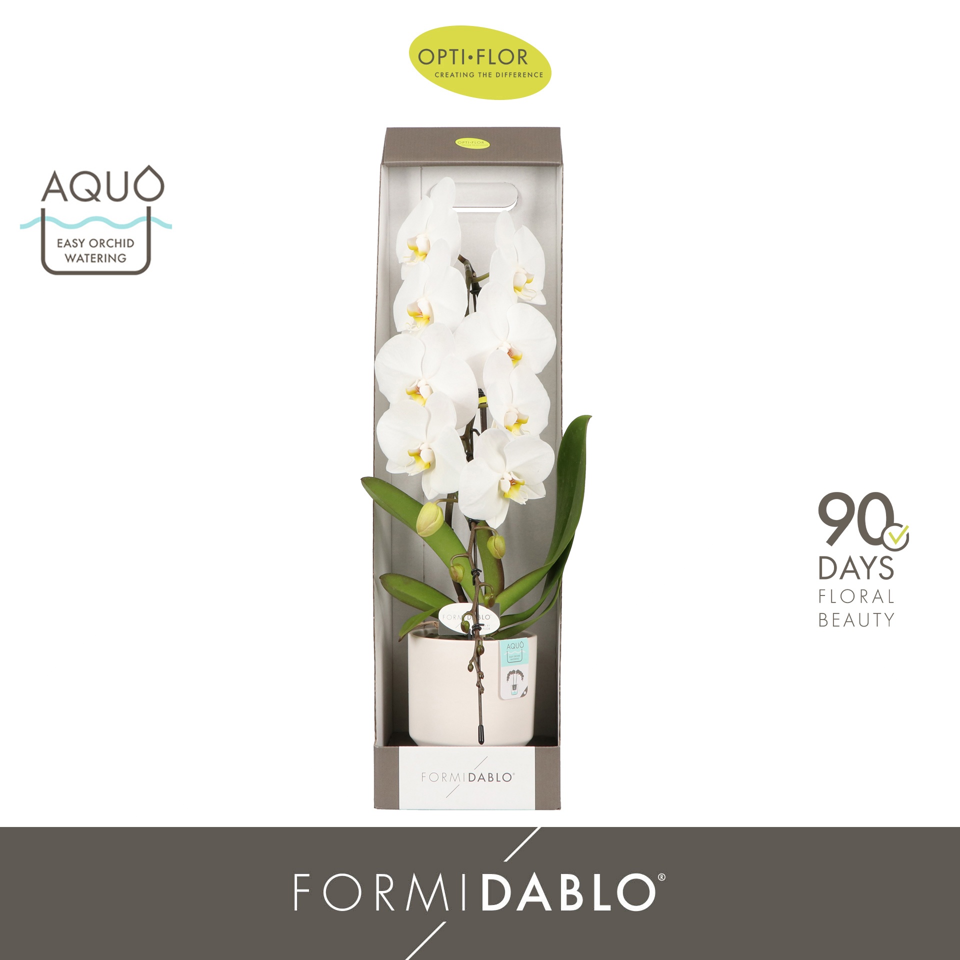 Formidablo Niagara Falls in Emilia White Aquo Showdoos, D 12