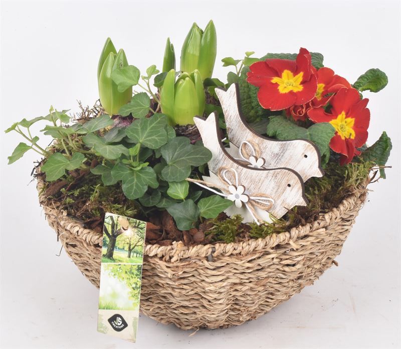 Touw schaal 20cm, D 20