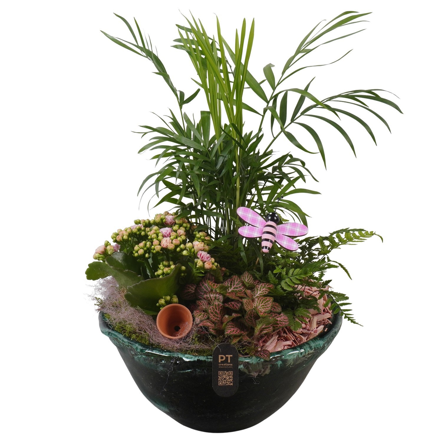 PTIG2717 Arrangement Indoor in glas schaal, D 26