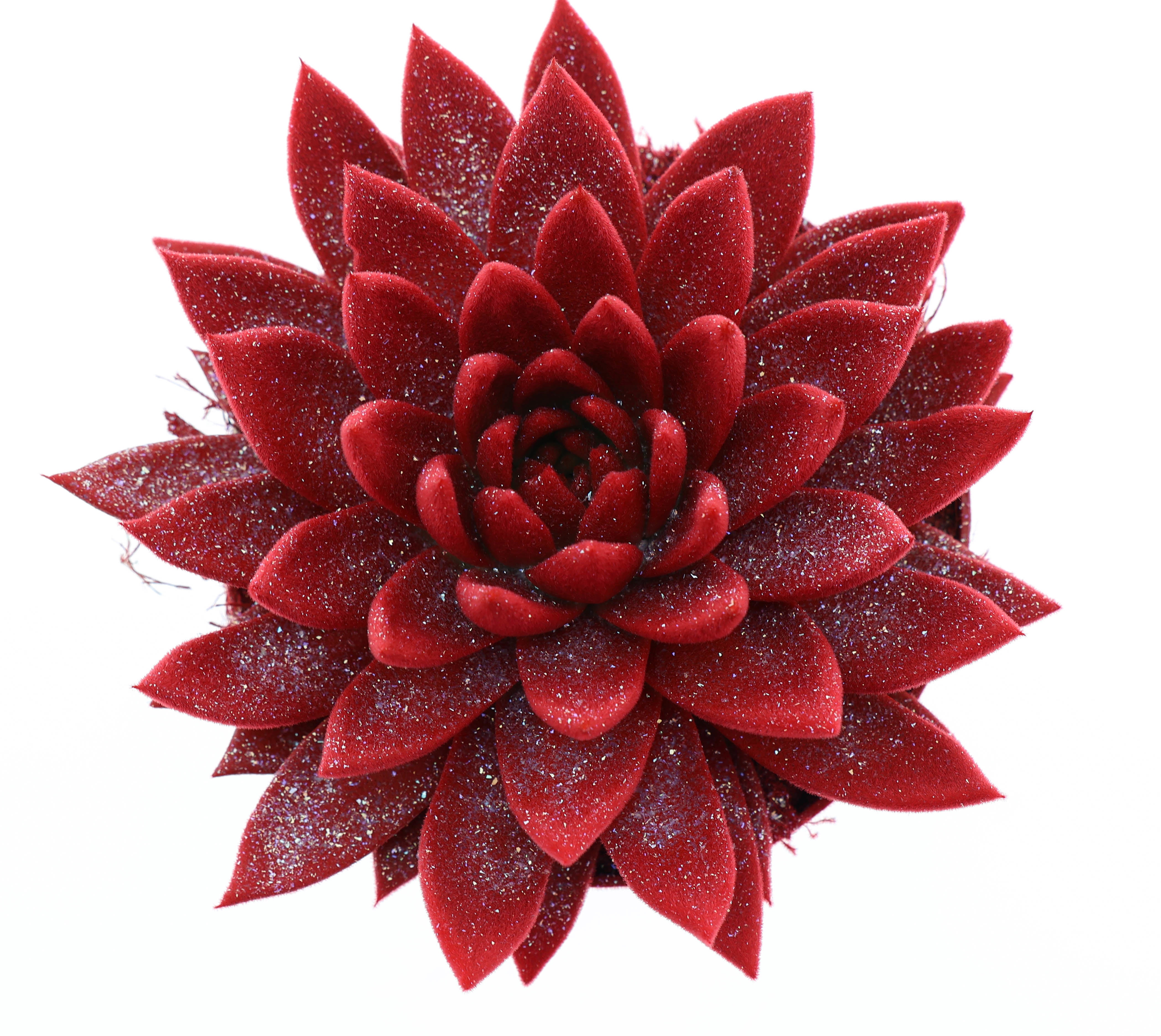 Velvet rood + glitter, D 17