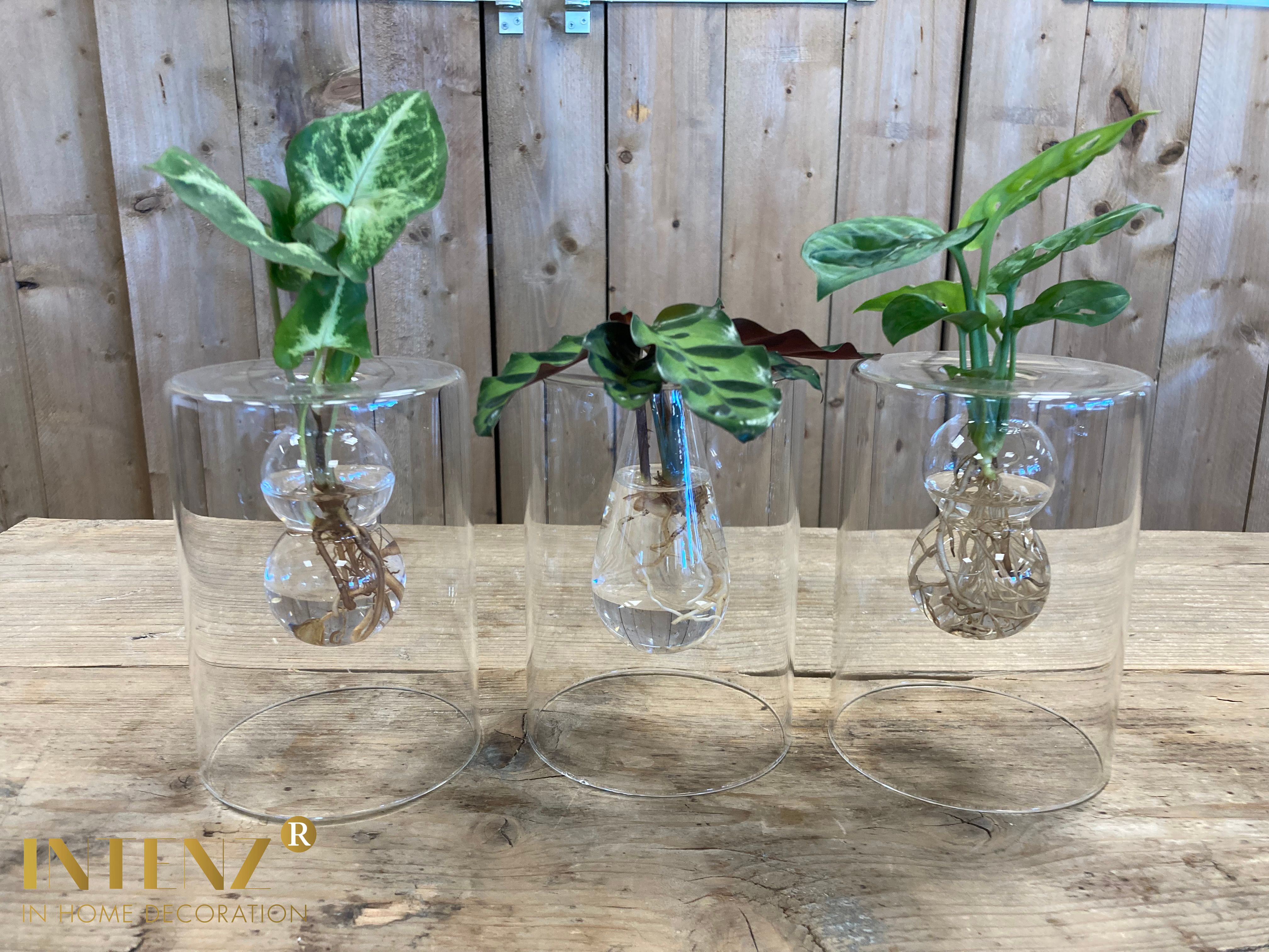 Mix in Sydney glas, D 7