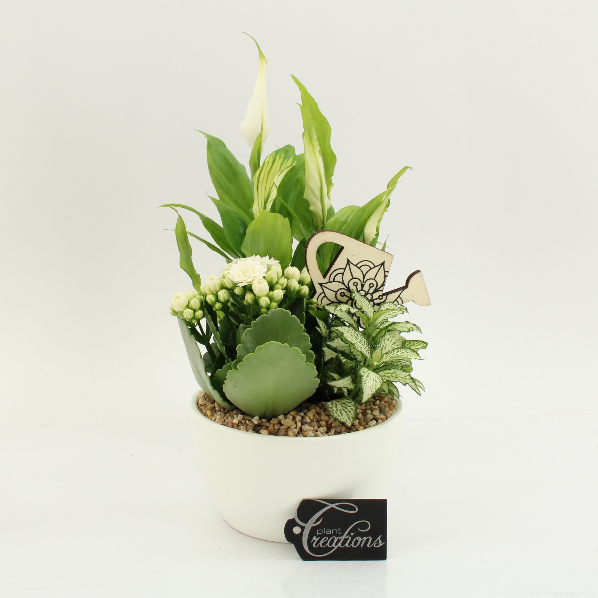 FDCR-2607W Basic Fundamentals, D 14