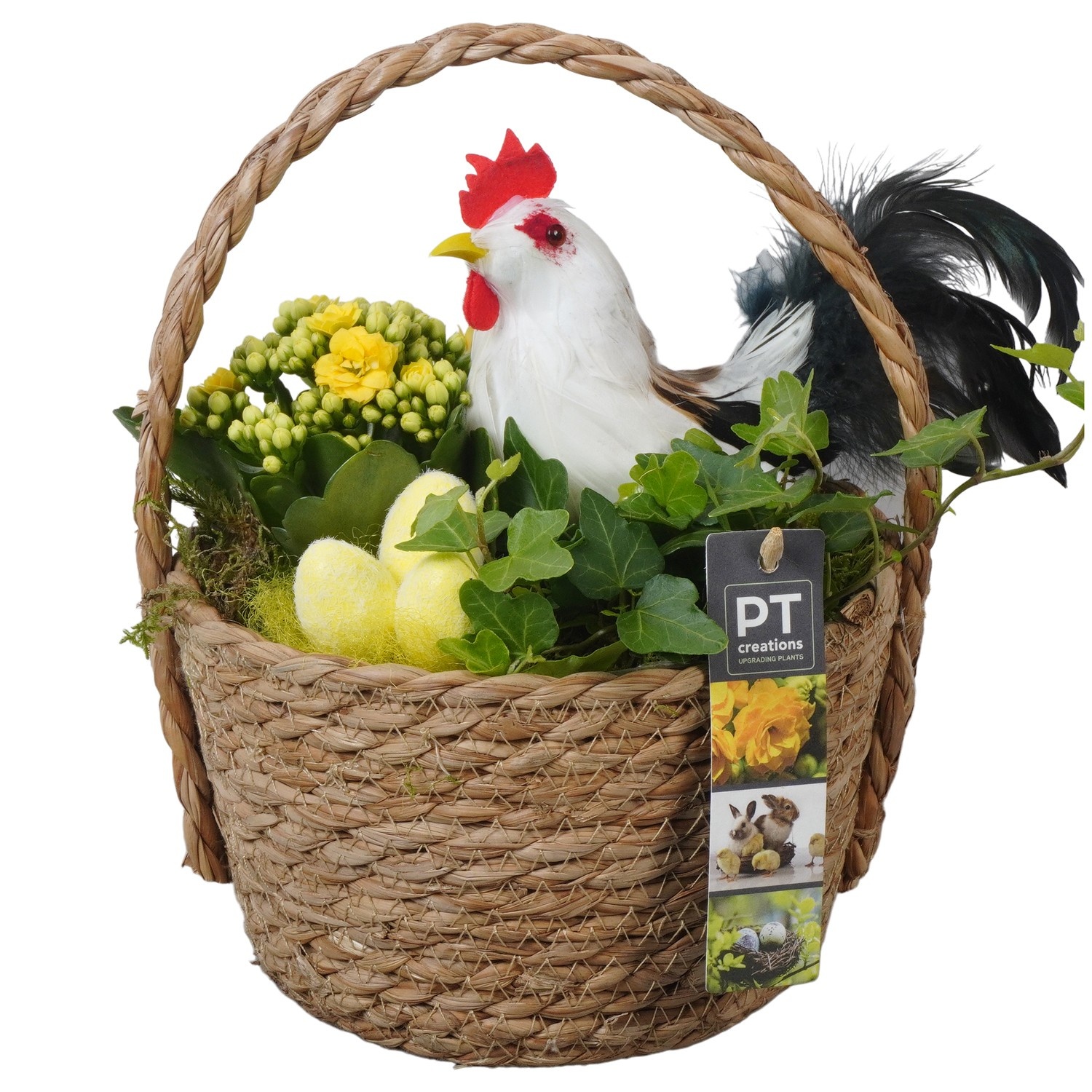 PTPB6548 Arrangement Easter in rieten mand, D 18