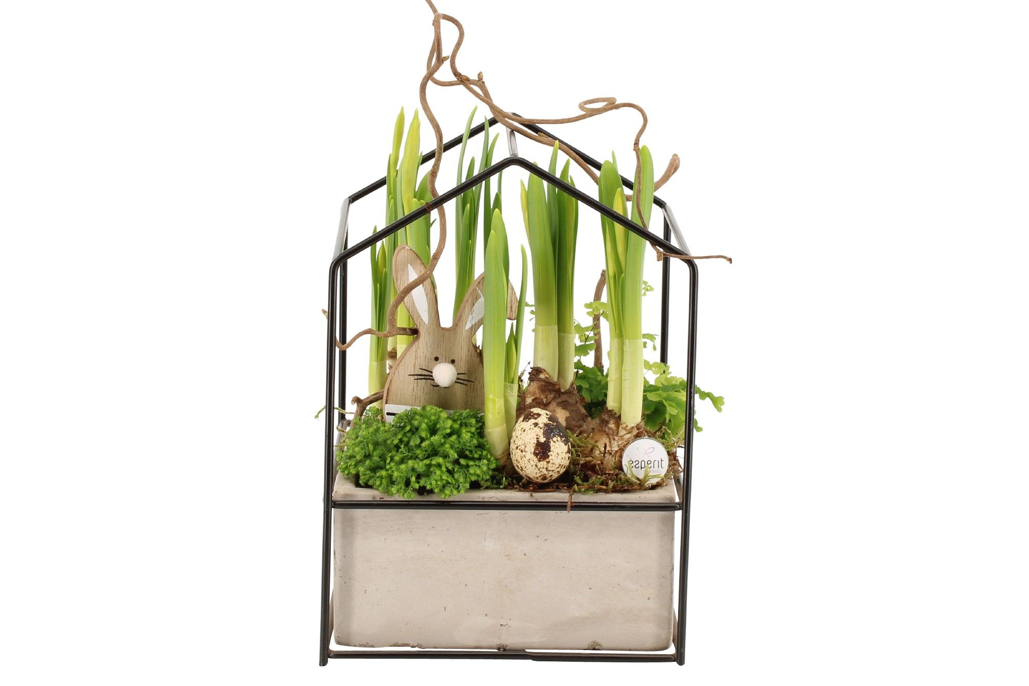 70637: Easter arrangement, D 15