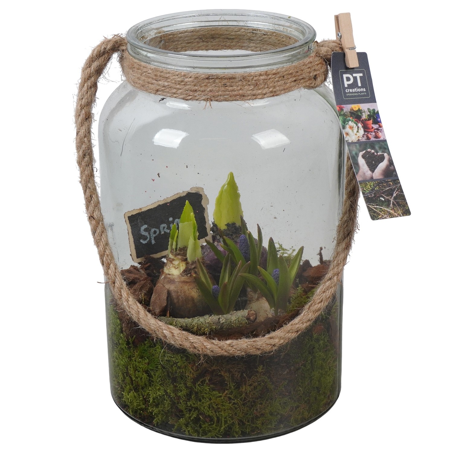 PTBM3949 Arrangement Flower Bulbs Mix in glazen vaas, D 16