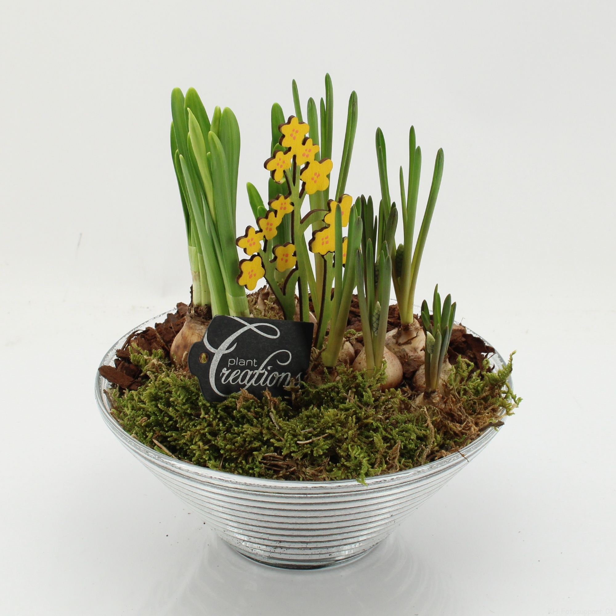 BLCR-2637 Bulbs creations, D 20