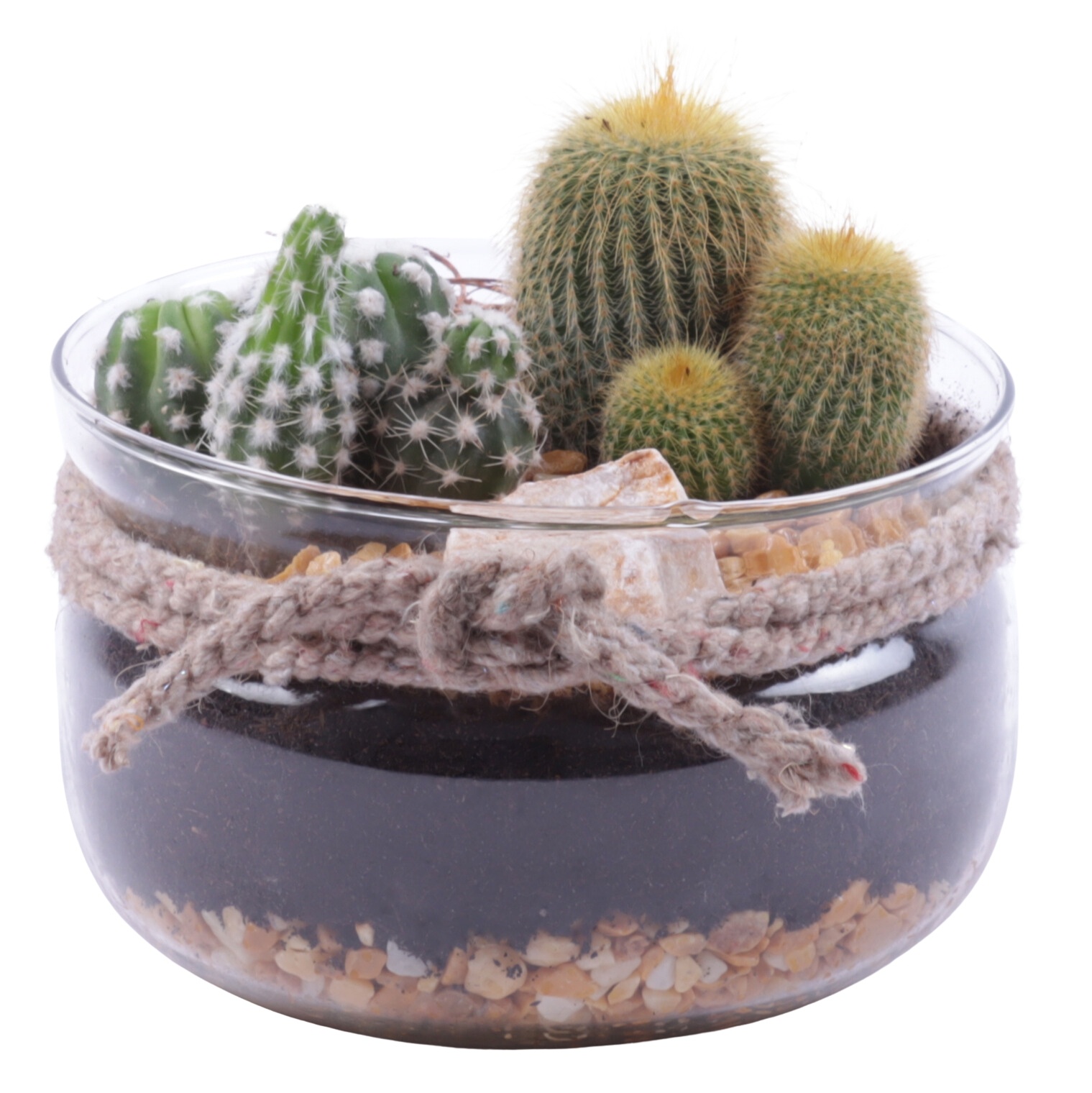 Yearround Arr. Cactus Glass Bowl with Rope Ø16cm 2PP, D 16