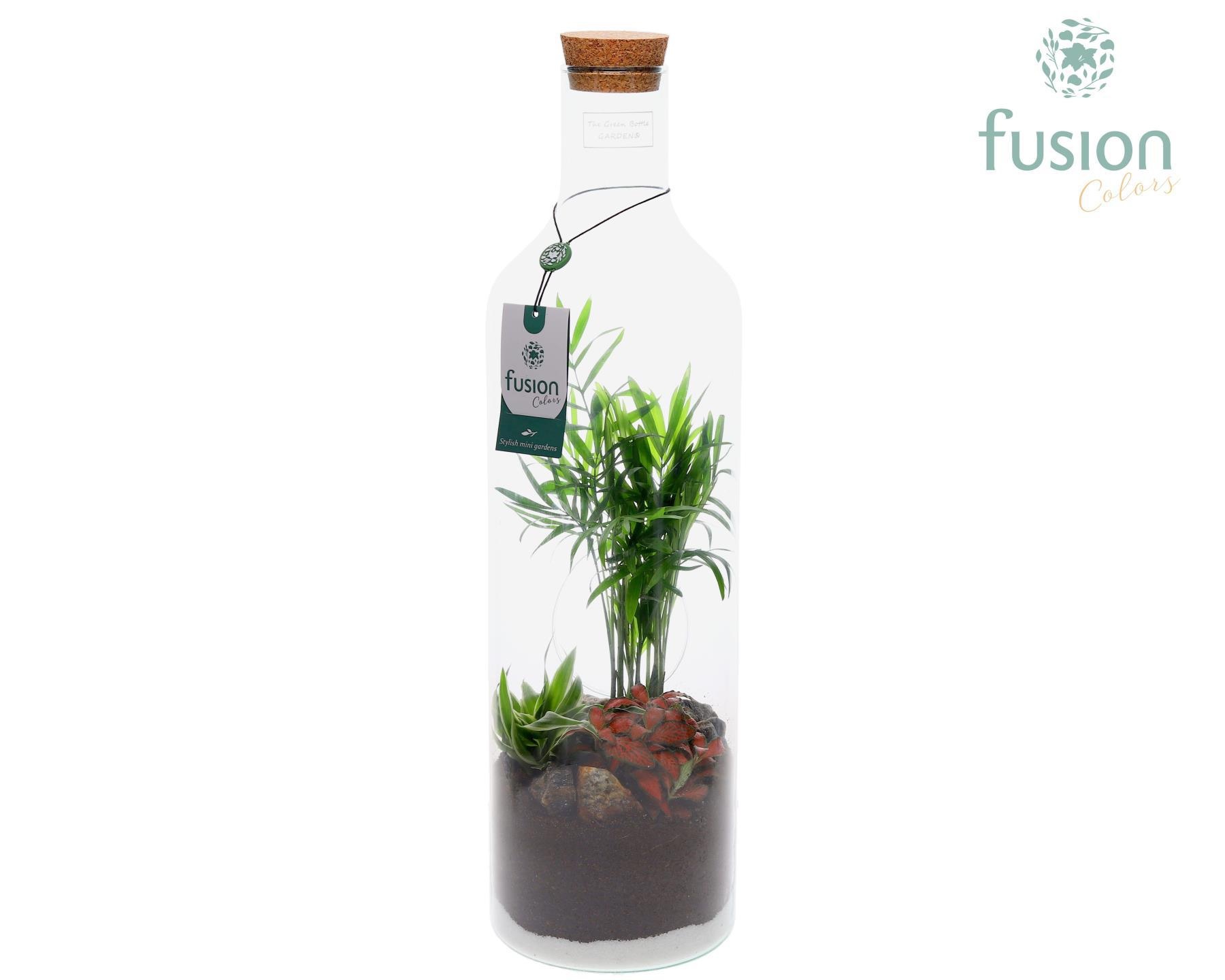 Green BottleLarge met Arrangement, D 15