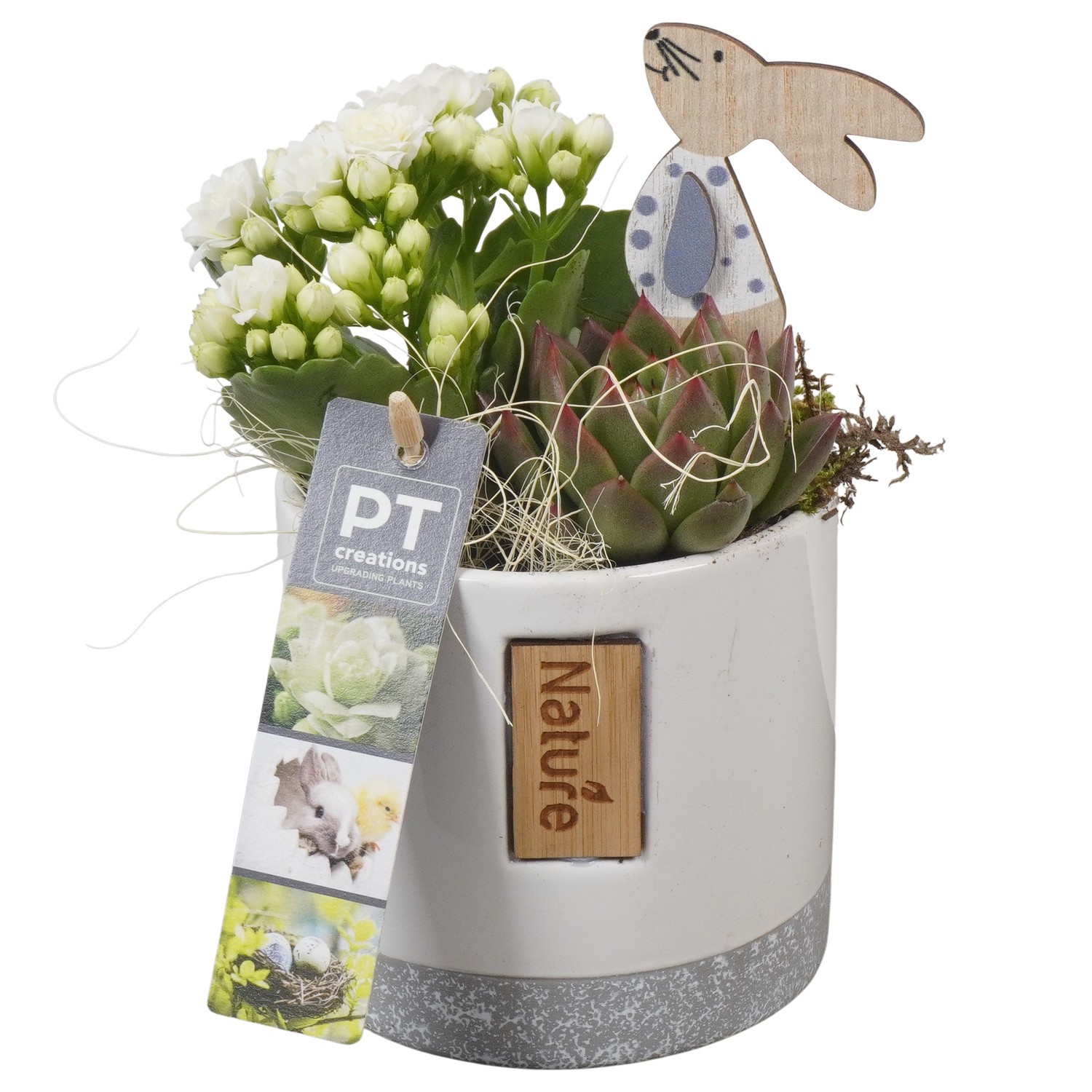 PTPB6474 Arrangement Easter in keramiek pot, D 10