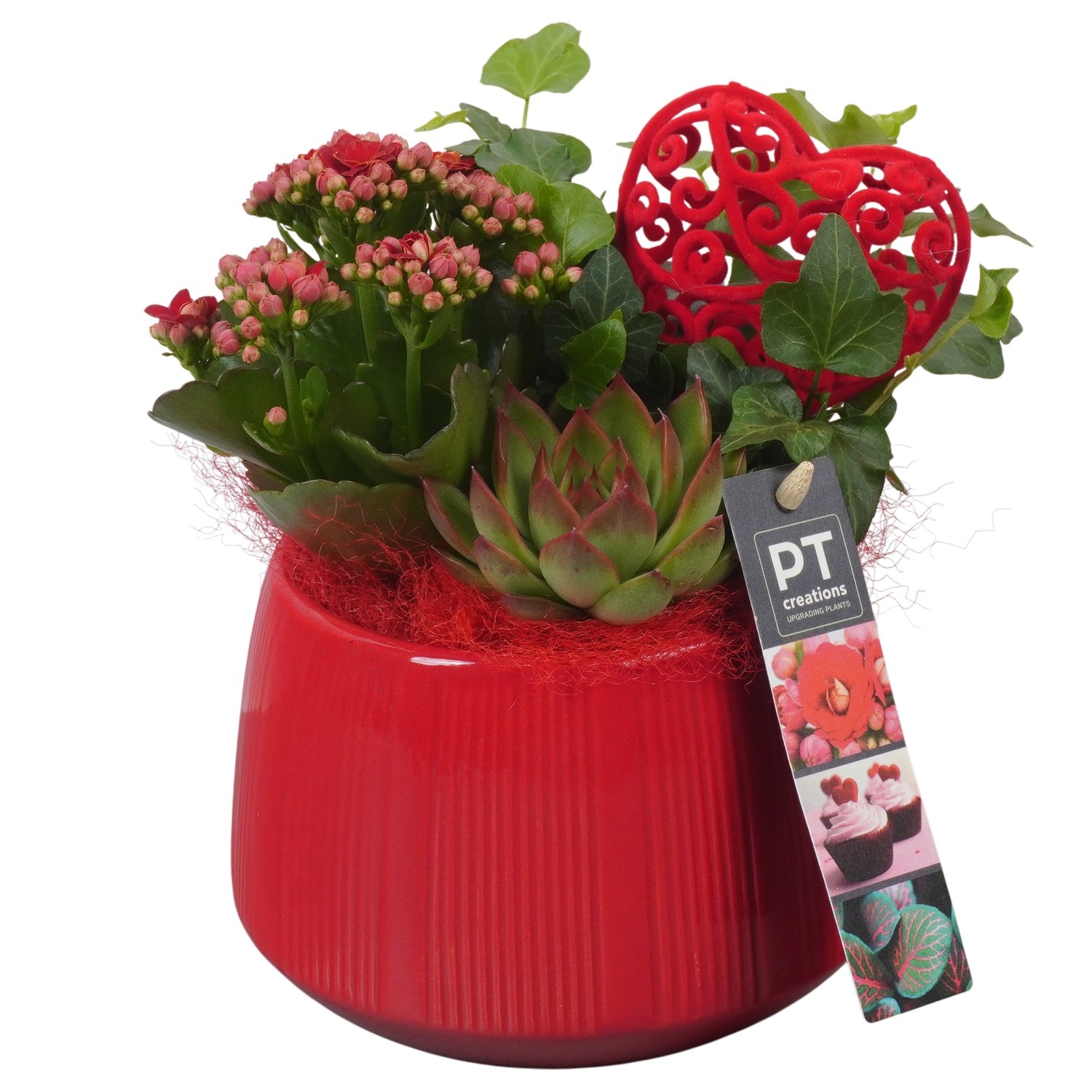 PTVMB2240 Arrangement Valentines-Mothersday in keramiek sierpot, D 14