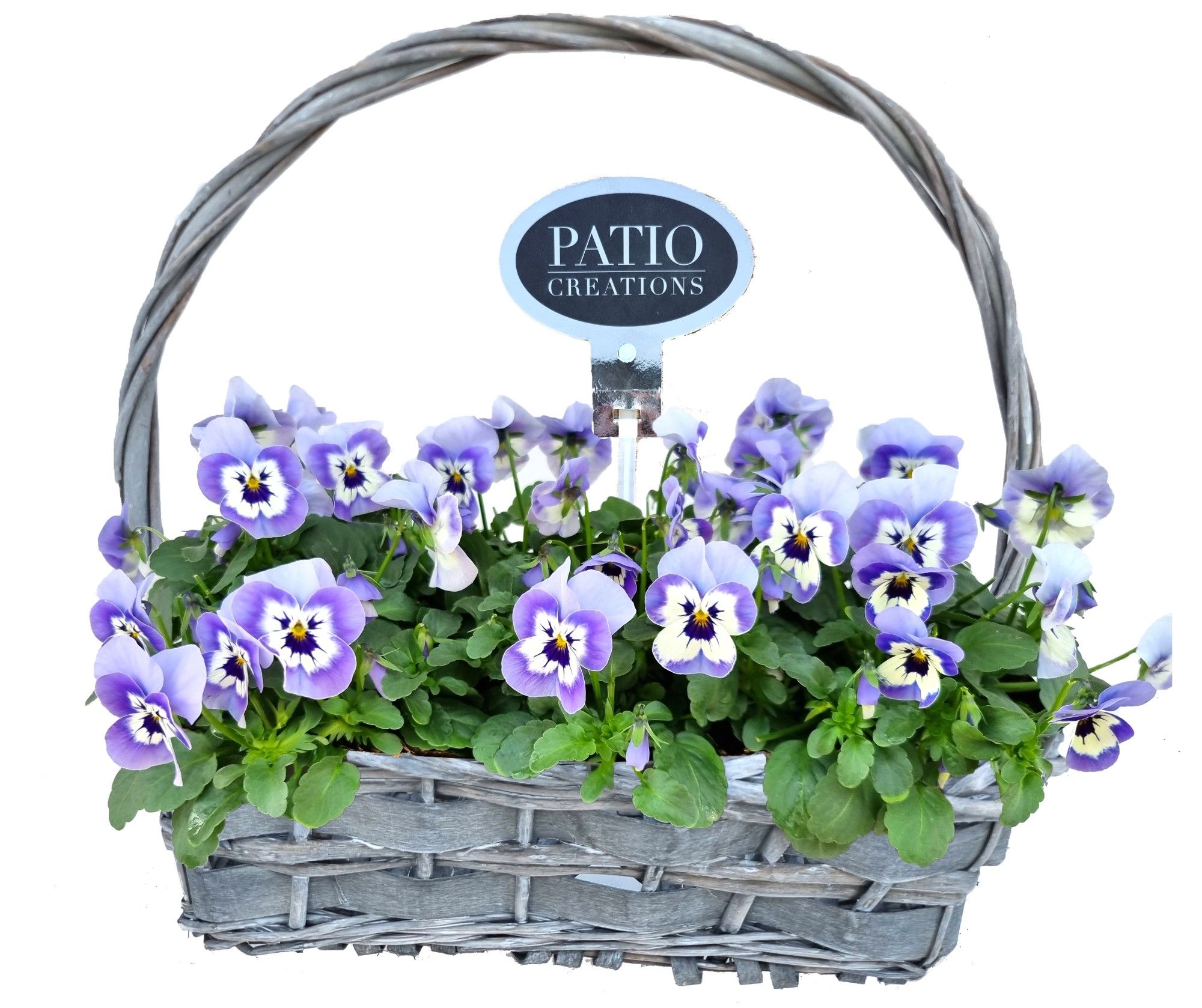 V573-9003 Viola hengselmand rattan, D 30