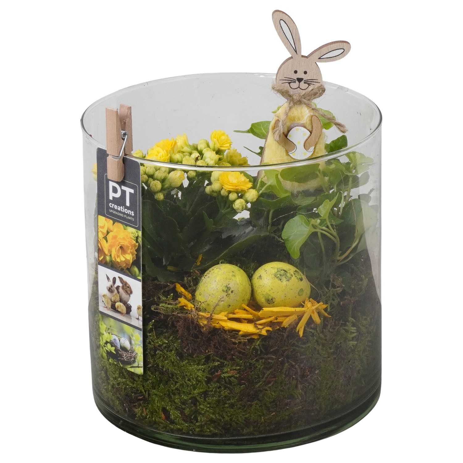 PTPG9328 Arrangement Easter in glas cylinder, D 15
