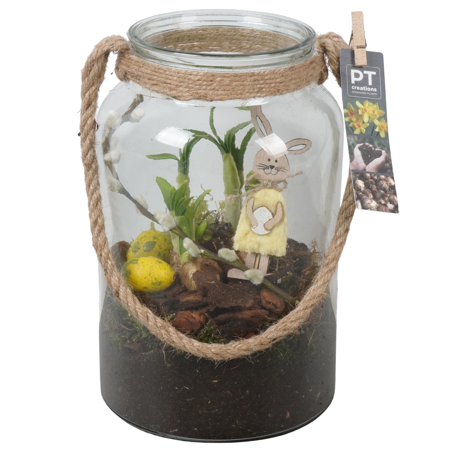 PTNP4524 Arrangement Narcissus Easter in glazen vaas, D 16