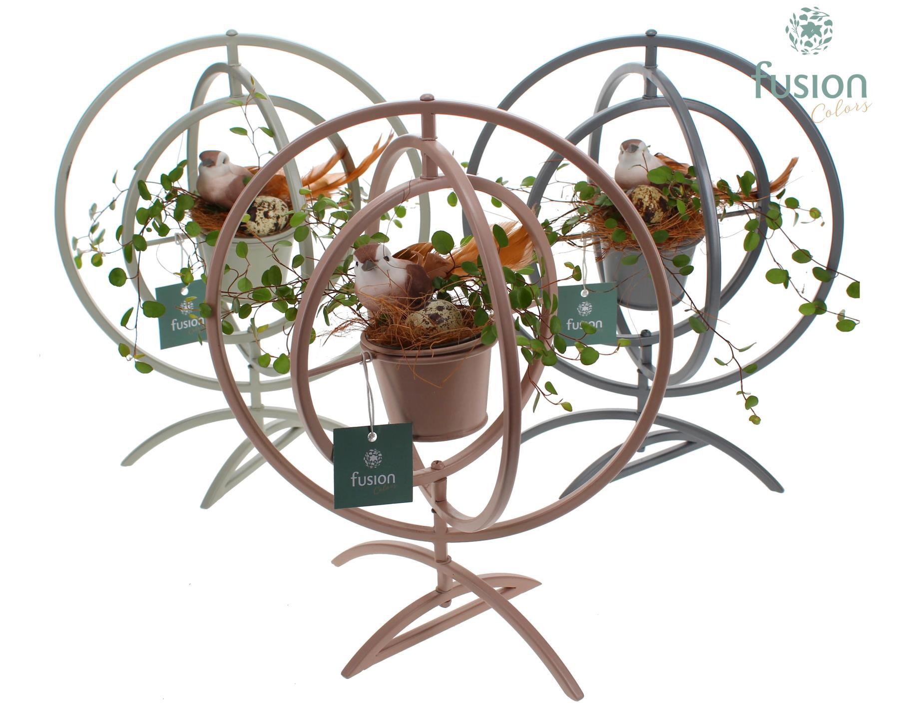Globe metaal 3 kleuren Large met Muehlenbeckia, D 30