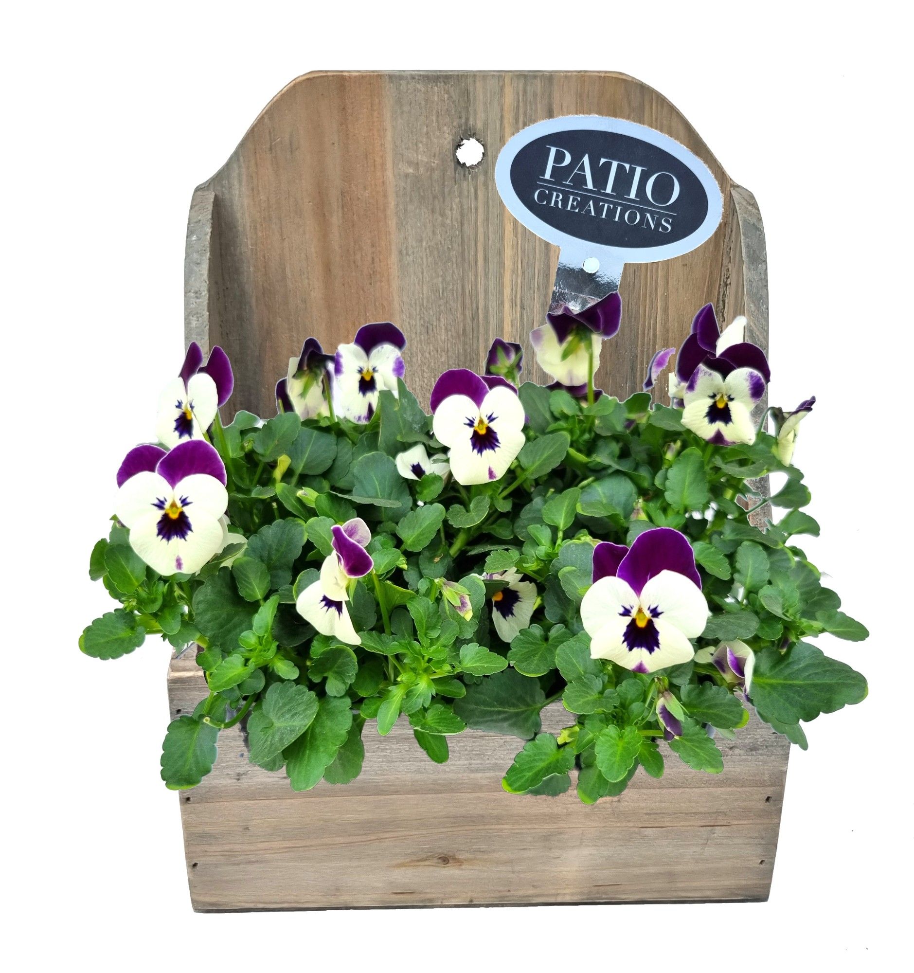 V791-9001 Viola wandhanger Bo S, D 19