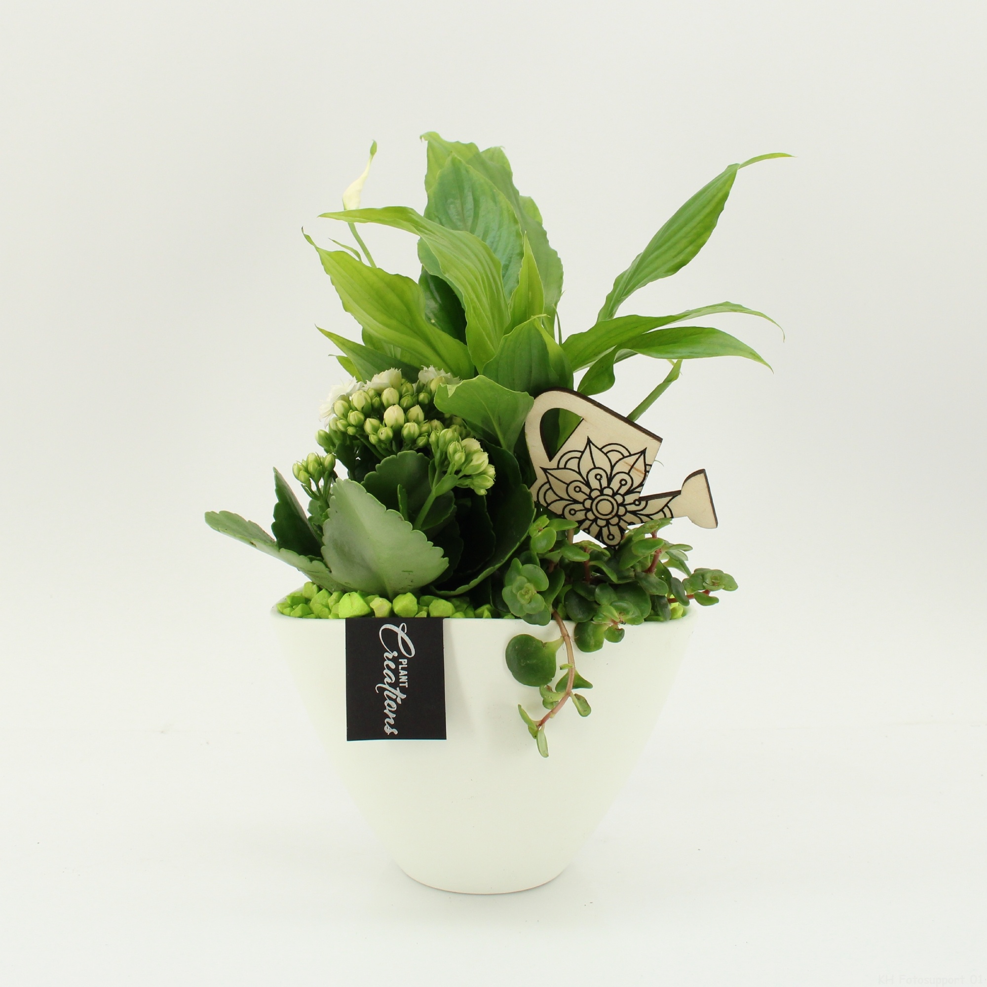 FDCR-2610GR Basic Fundamentals, D 18