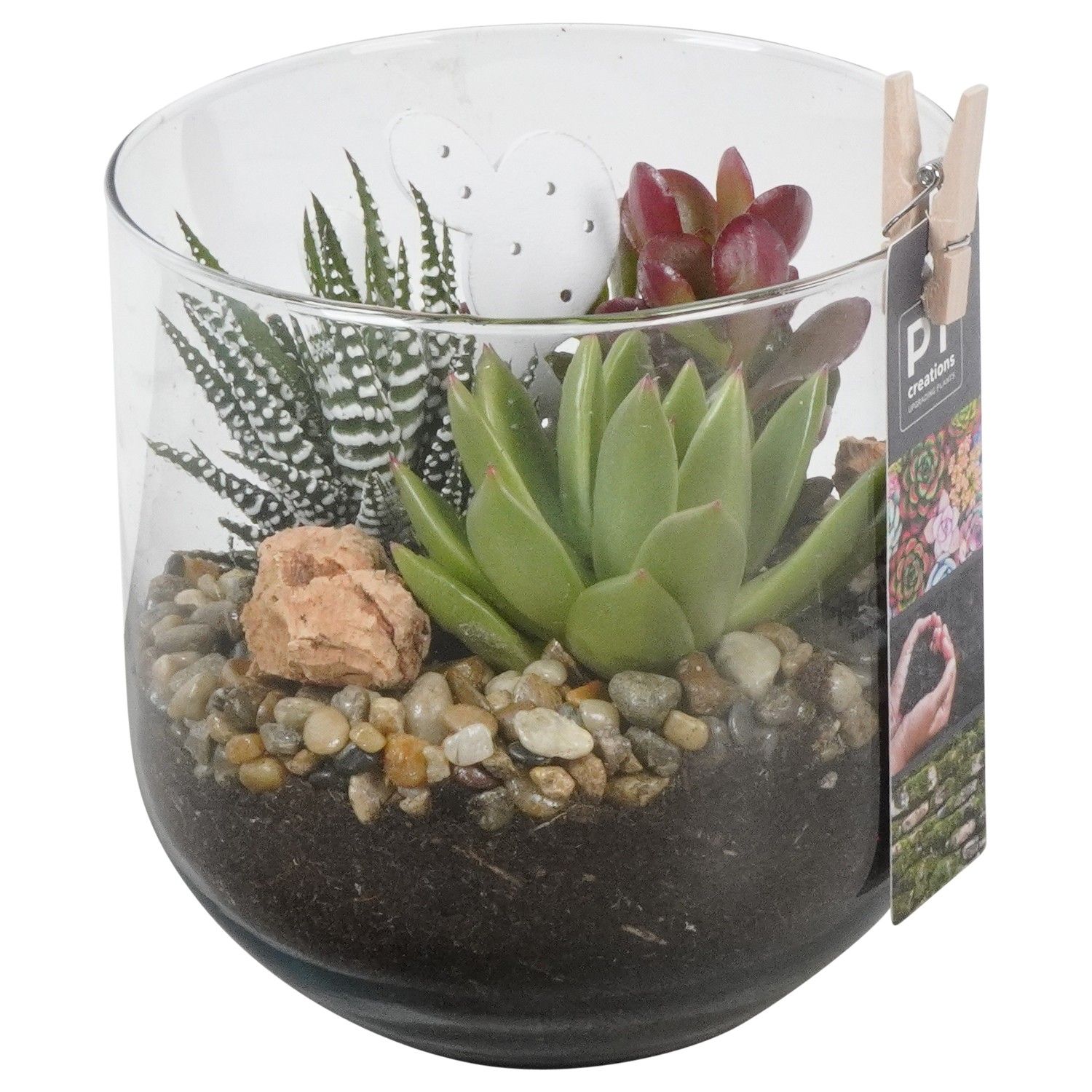 PTSU8420 Arrangement Succulenten in glazen vaas, D 13