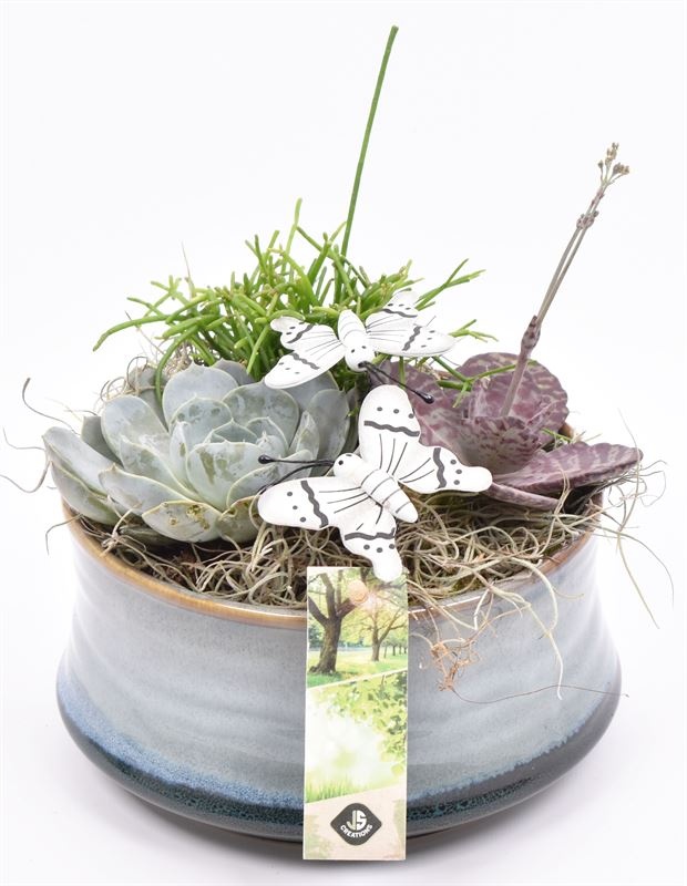 Keramiek schaal blauw/grijs 18cm, D 19