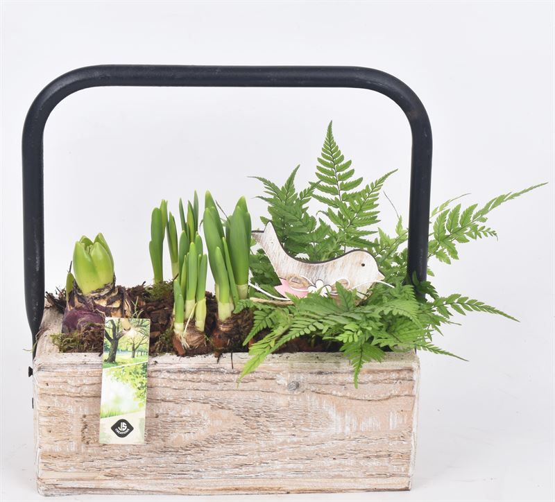 Hout rechthoek met hendel 26x11cm, D 27