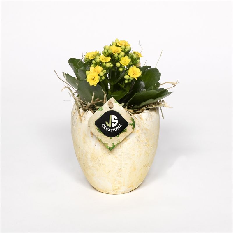 Cement ei 11cm, D 11