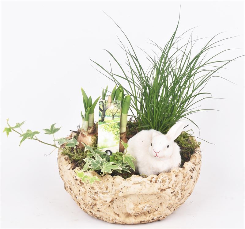 Cement ei schaal kip decor 18cm, D 20