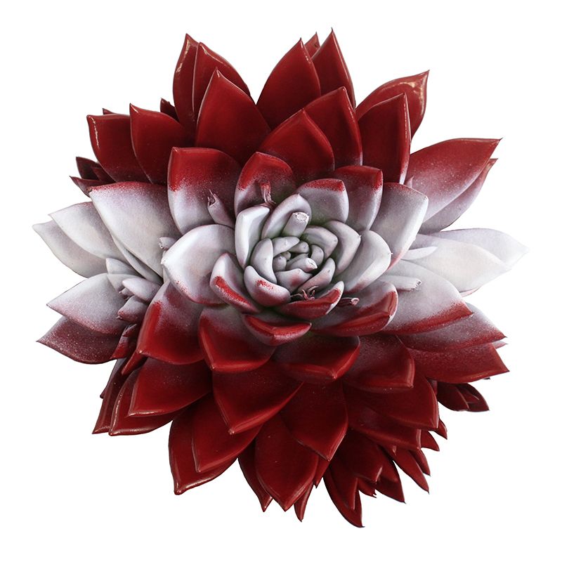 Miranda coloured flag Austria, D 10,5