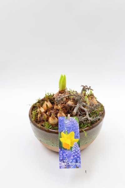 Bollen, luxe keramiek schaal M, D 19