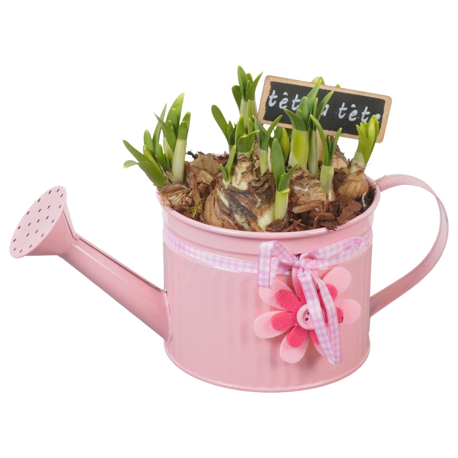 PTN8548 Arrangement Narcissus in zink gieter, D 12