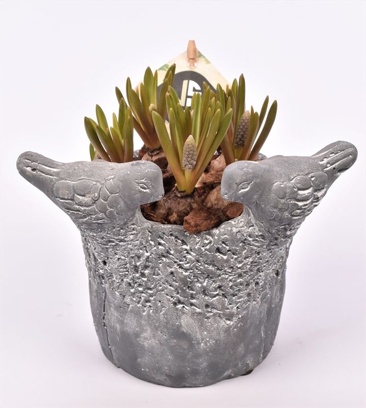 Cement vogelpotje grijs 12cm, D 12