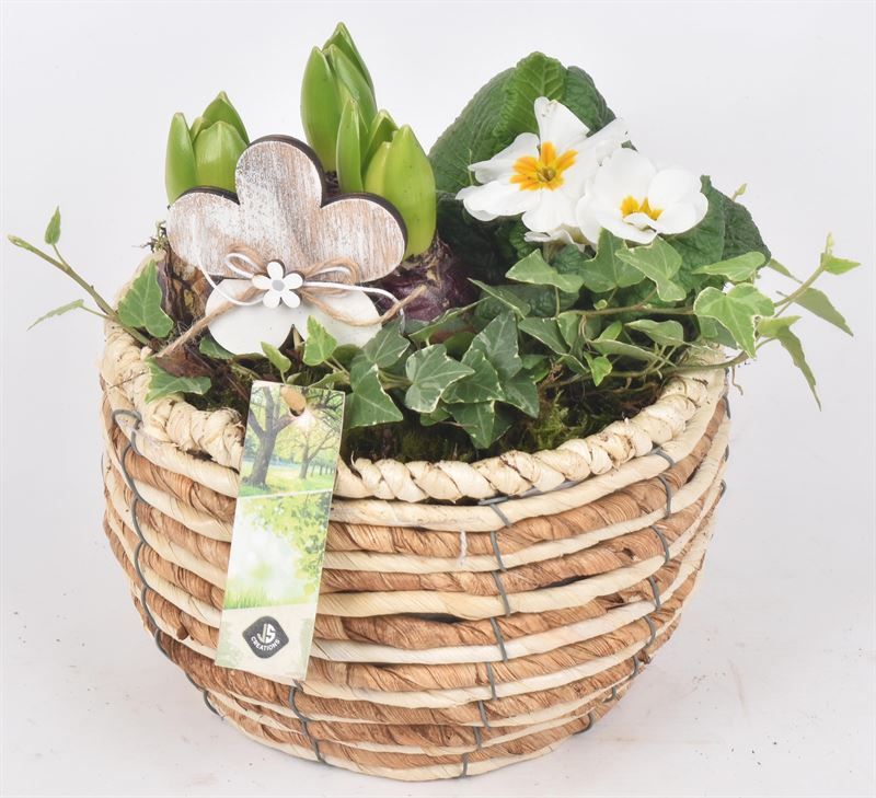 Mais mand 19cm, D 19