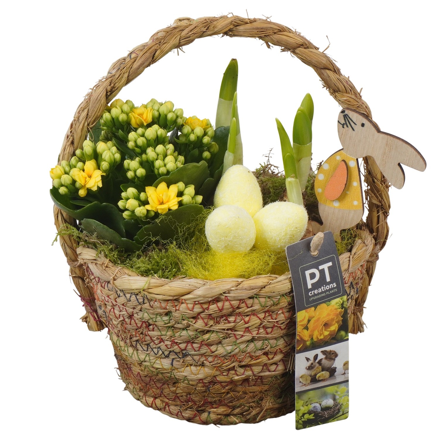 PTPB6539 Arrangement Easter in rieten mand, D 15