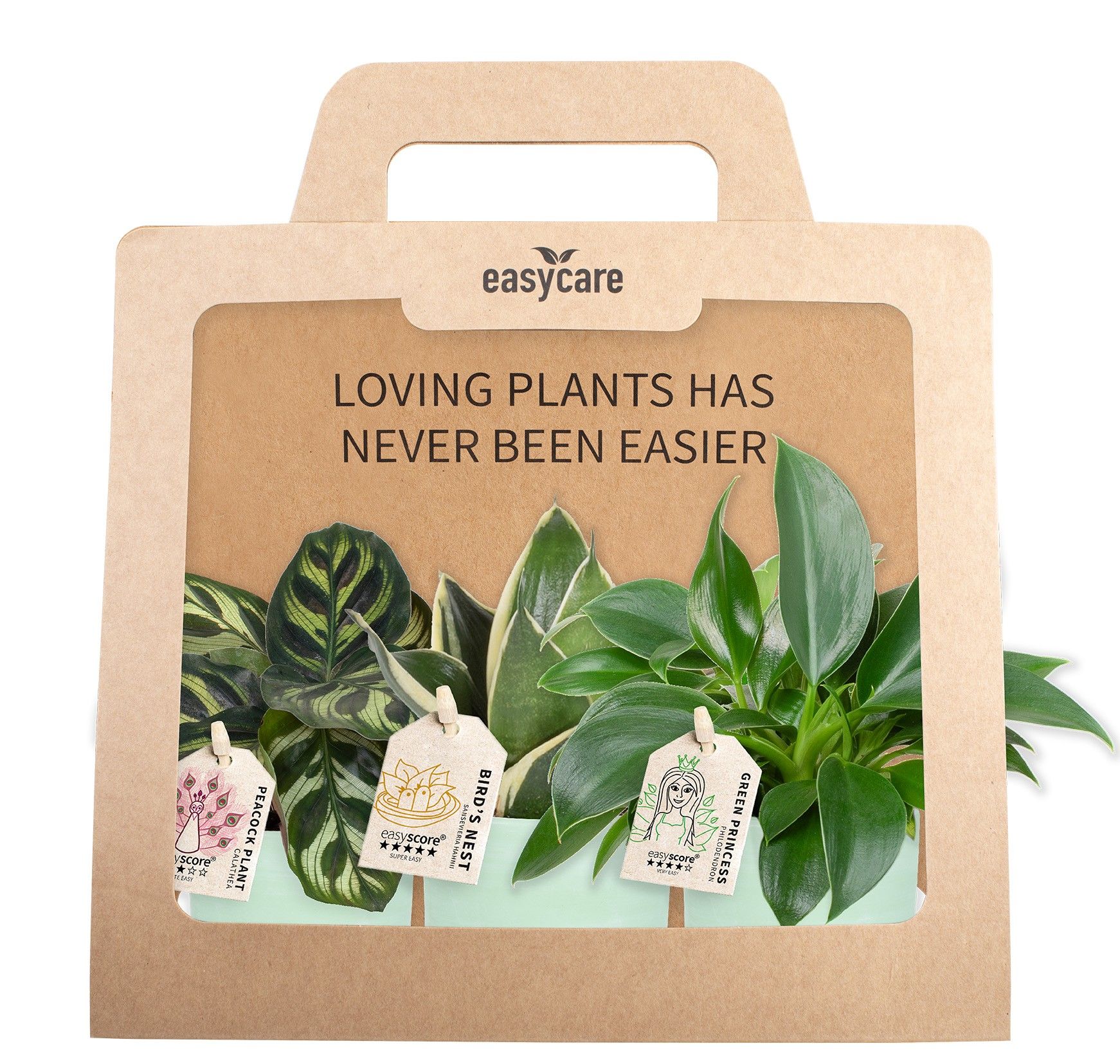 3-Pack Woodbase Green, Cites Free, D 7