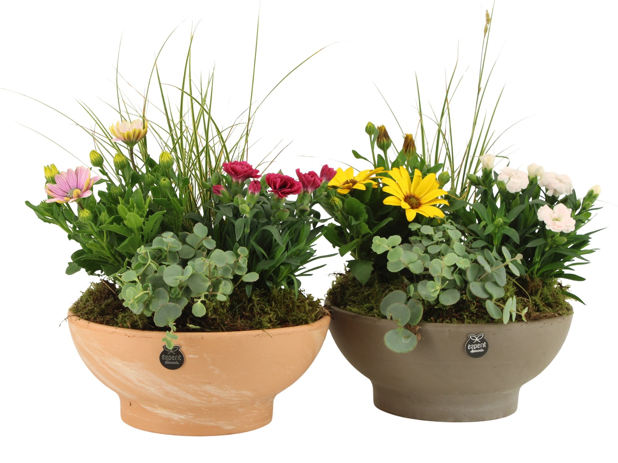 31699: Outdoor summer arrangement, D 23