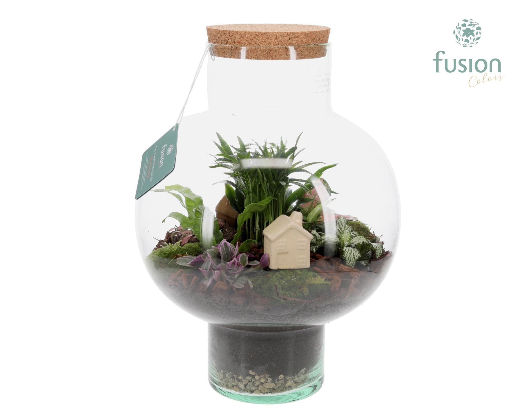 Green Bottle Laura Large met Terrarium arrangement, D 31
