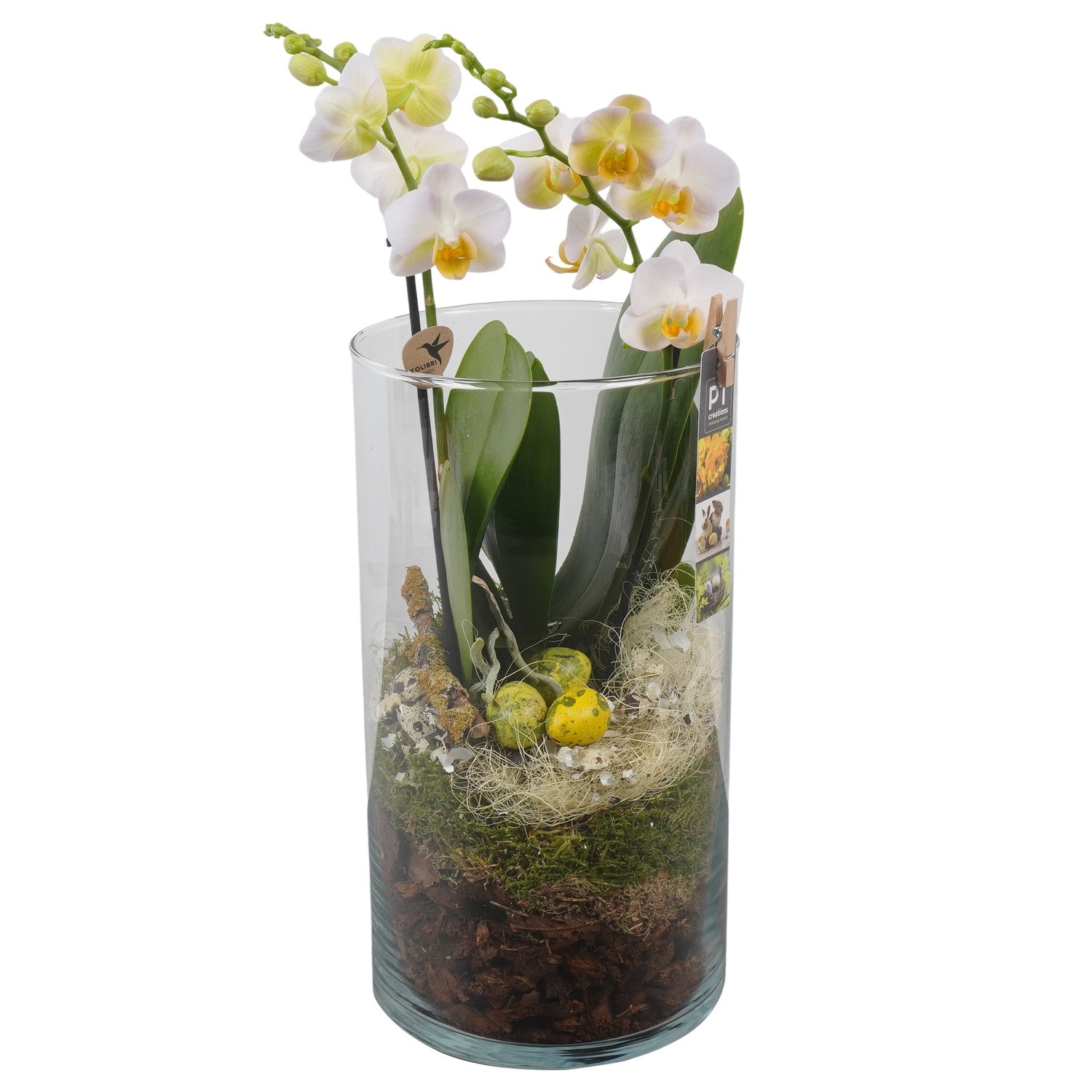 PTPG9335 Arrangement Easter in glas vaas, D 16