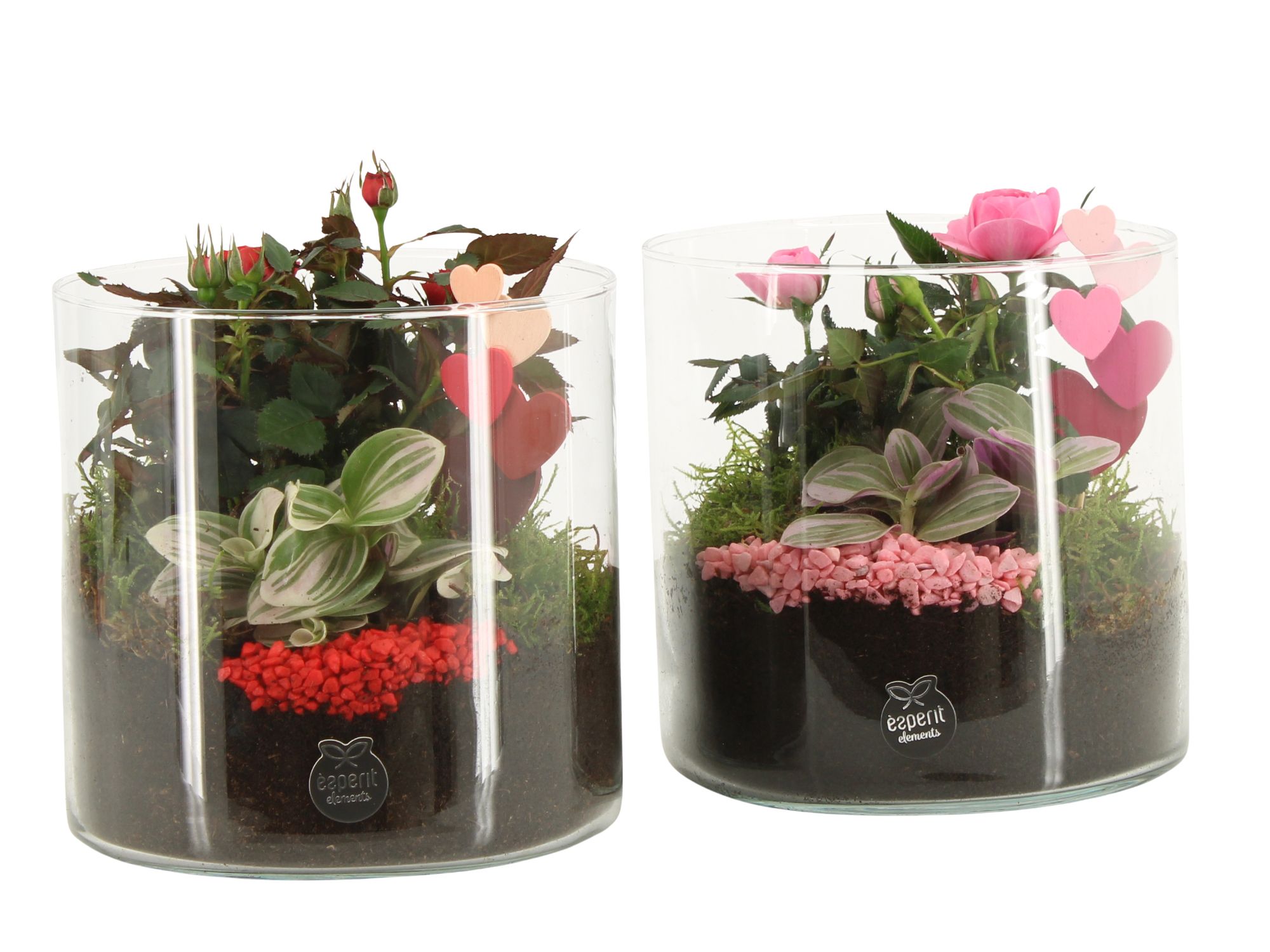 21836: Lovess arrangement, D 15