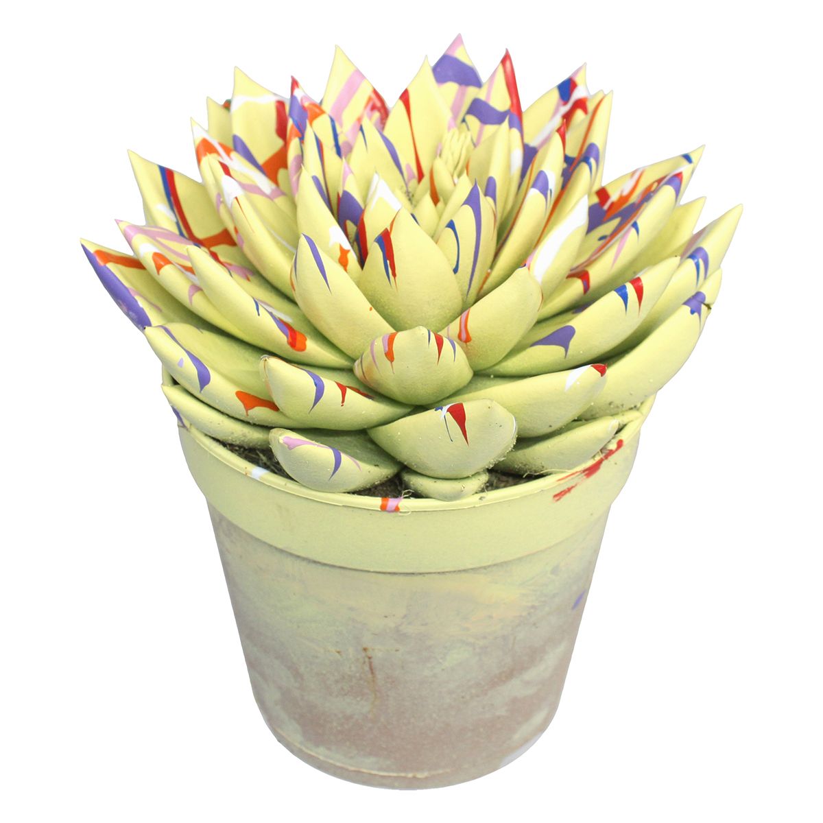 Miranda coloured Splash pastel yellow, D 12