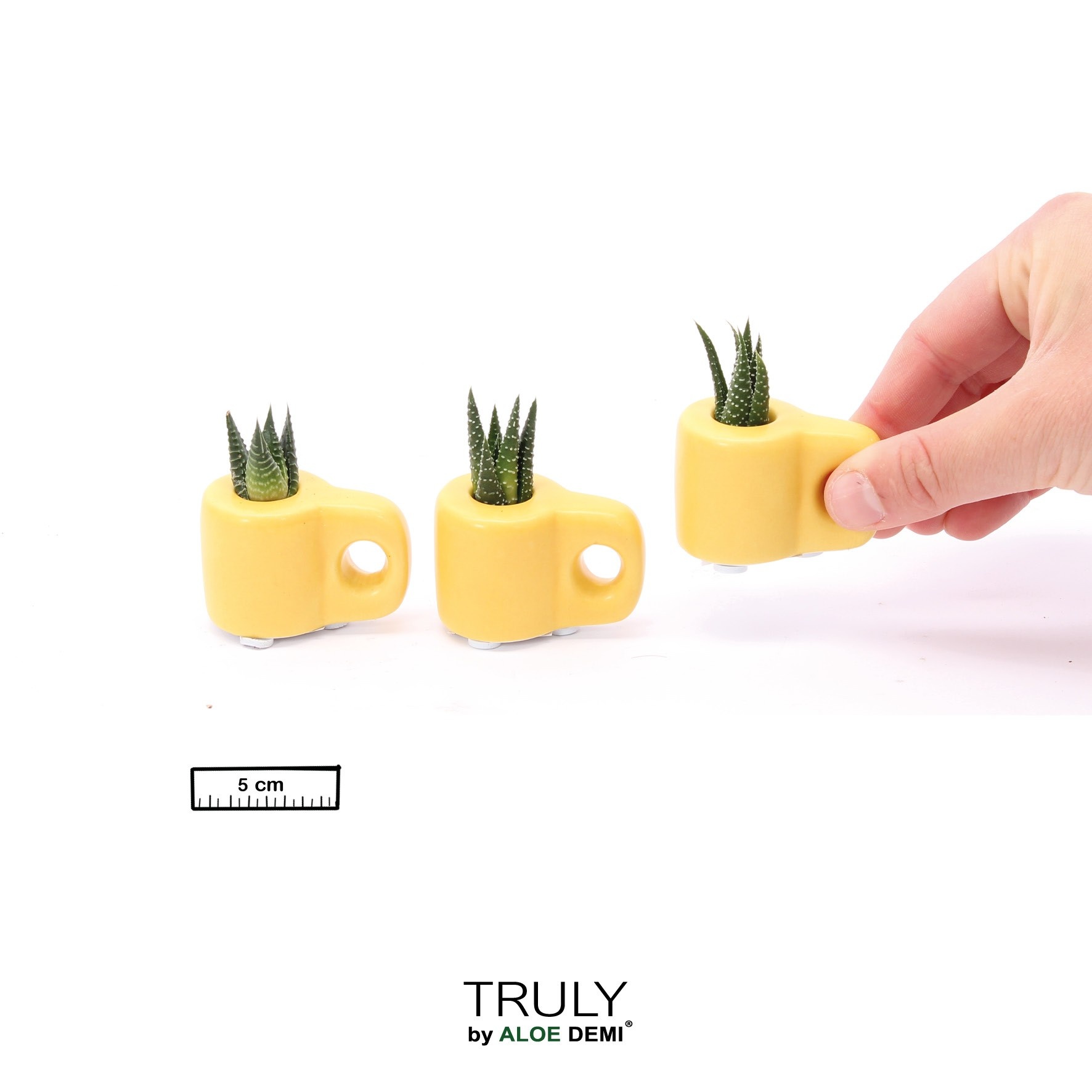 TRULY Succulent, Mug Yellow Mini, D 5