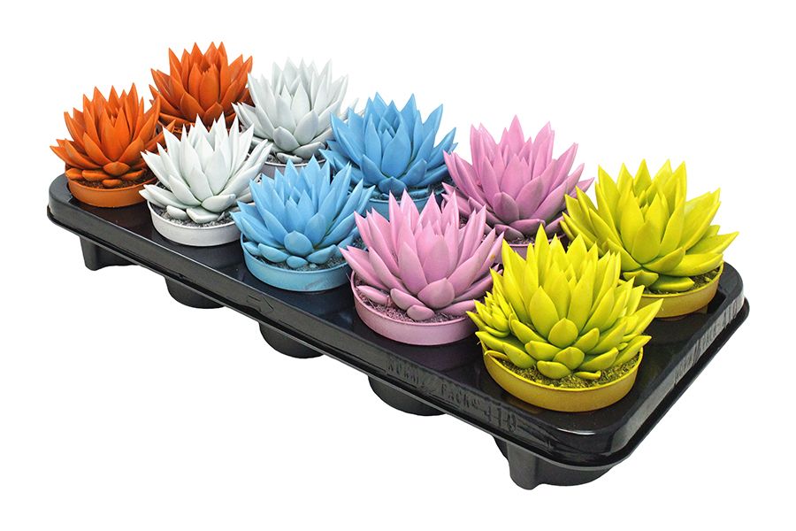 Miranda coloured summer mix, D 10,5