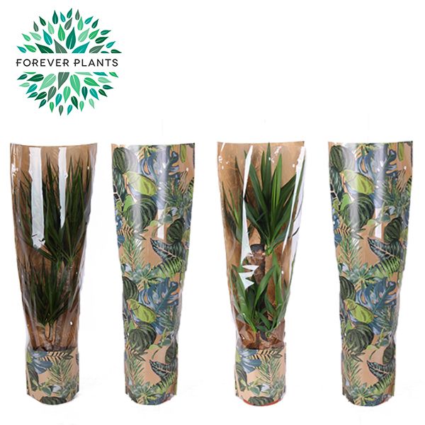 Groen Mix 17 in HOES GREEN JEWELS, D 17